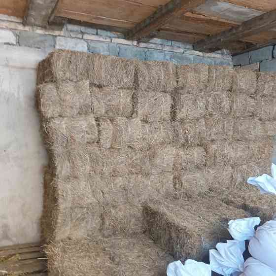Продам сено Харцызск