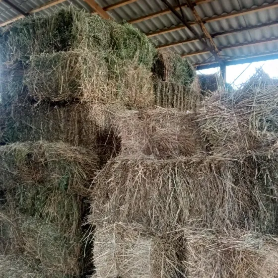 Продам сено Харцызск