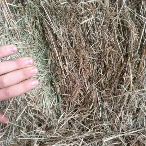 Продам сено Харцызск