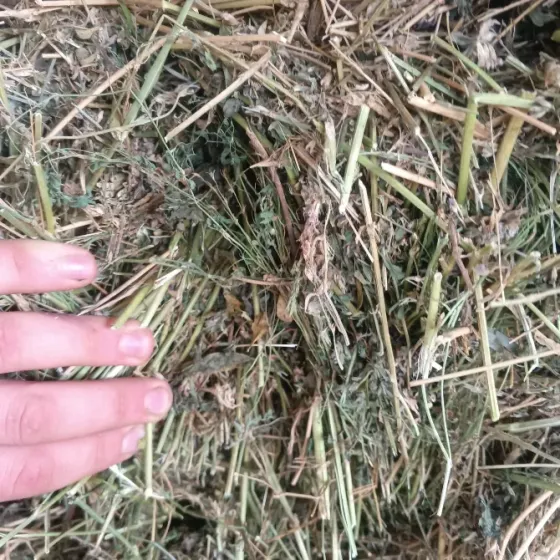 Продам сено Харцызск