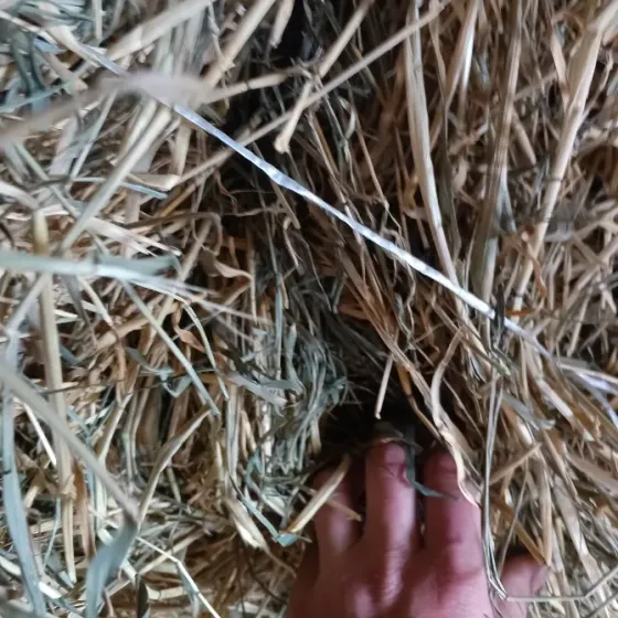 Продам сено Харцызск