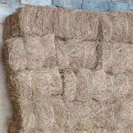 Продам сено Харцызск