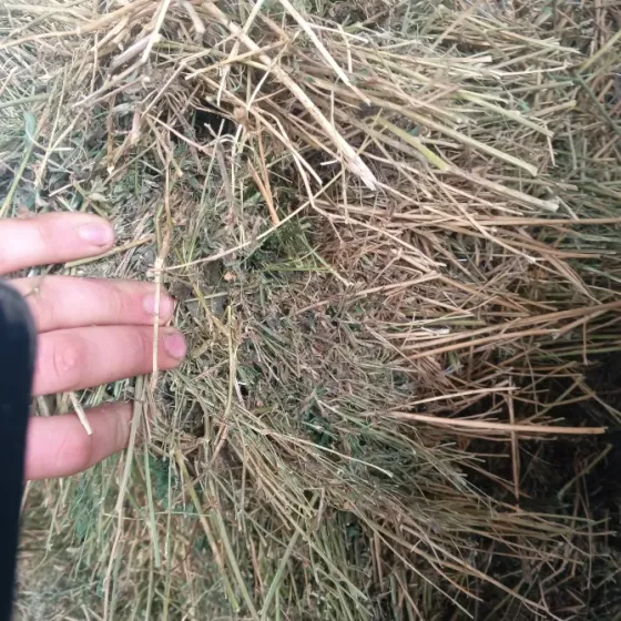 Продам сено Харцызск
