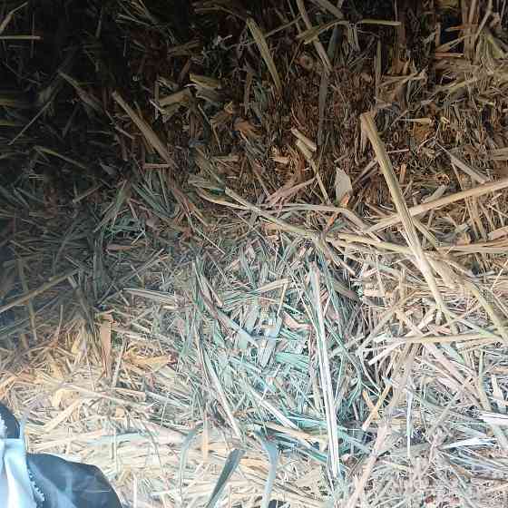 Продам сено Харцызск