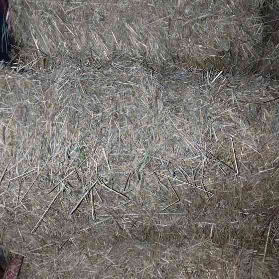 Продам сено Харцызск