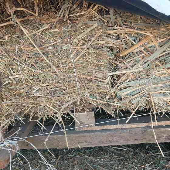 Продам сено Харцызск