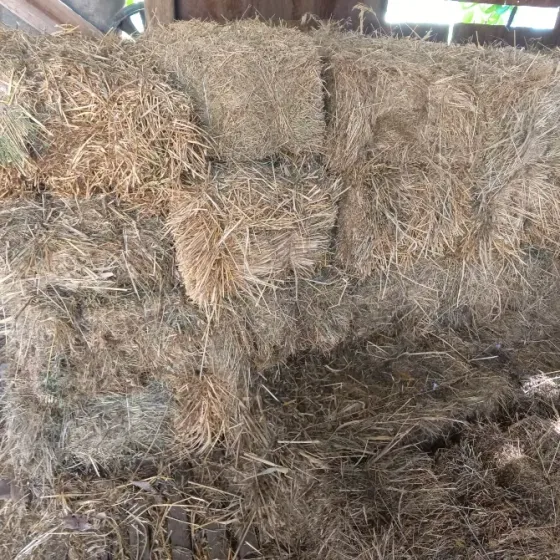 Продам сено Харцызск