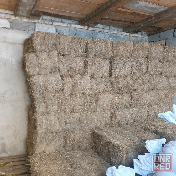 Продам сено Харцызск - изображение 8