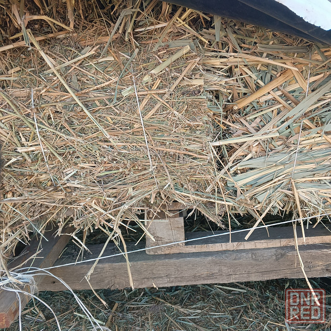 Продам сено Харцызск - изображение 5