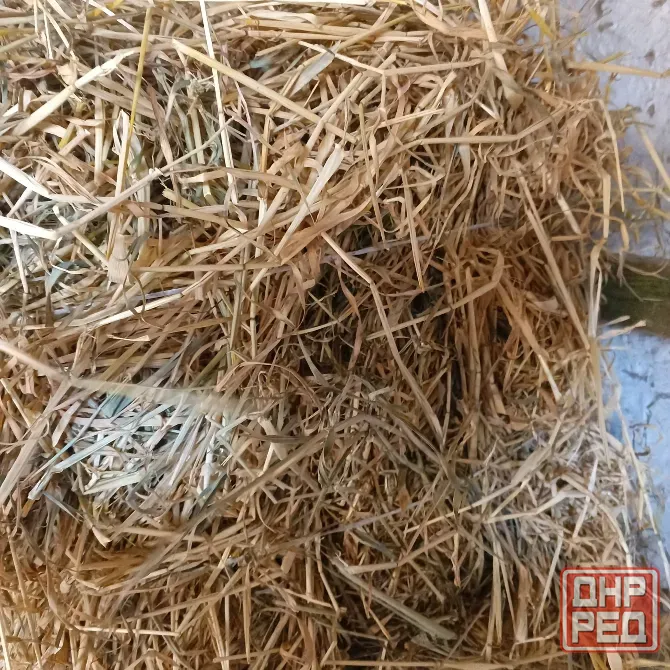 Продам сено Харцызск - изображение 2