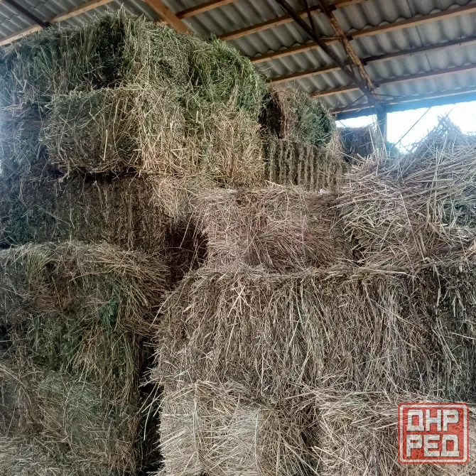 Продам сено Харцызск - изображение 1