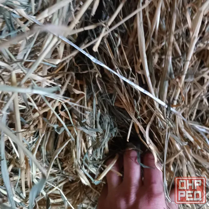 Продам сено Харцызск - изображение 3