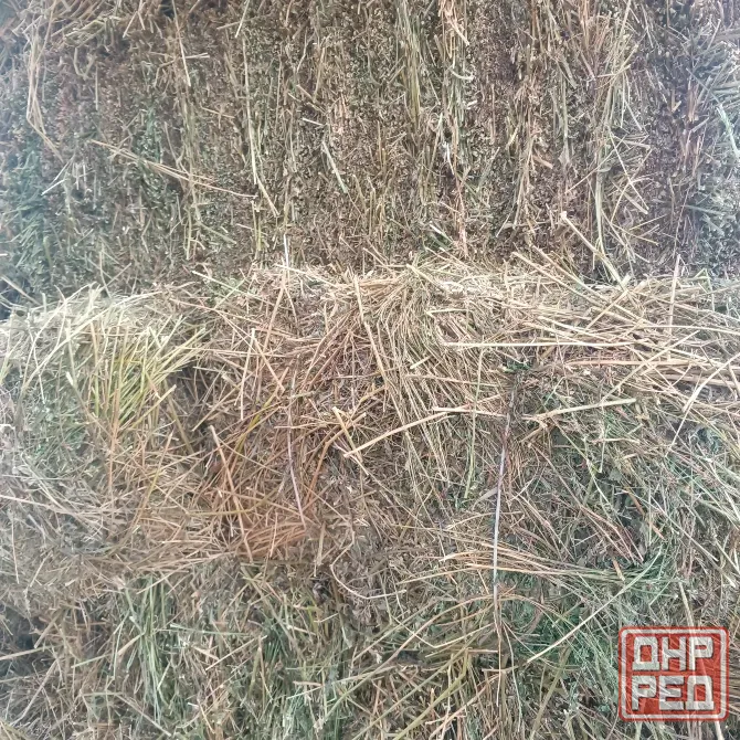 Продам сено Харцызск - изображение 3
