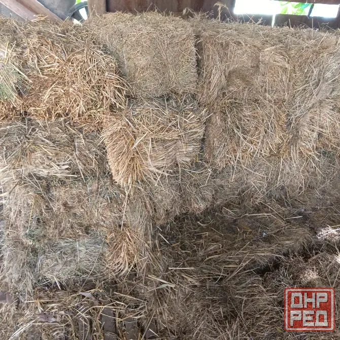 Продам сено Харцызск - изображение 1