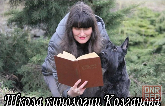 Стрижка собак Донецк - изображение 3