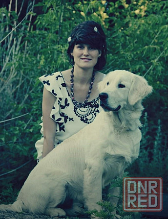 Дрессировка собак Донецк - изображение 4