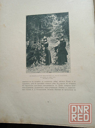книга Беловежская Пуща 1903 год издания Георгий Карцов. Донецк - изображение 4