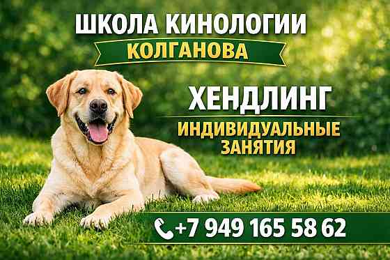 Базовый курс ринговой подготовки собаки.. Донецк