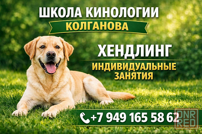 Базовый курс ринговой подготовки собаки.. Донецк - изображение 1