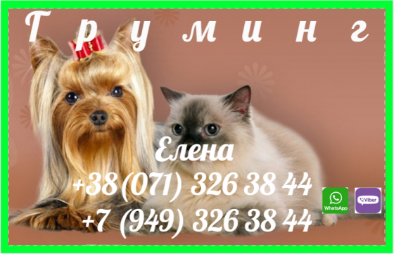 Стрижка собак и котов(кошек) Донецк