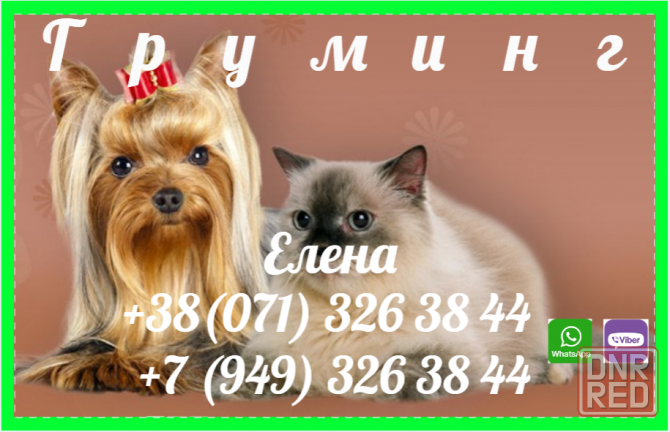 Стрижка собак и котов(кошек) Донецк - изображение 1