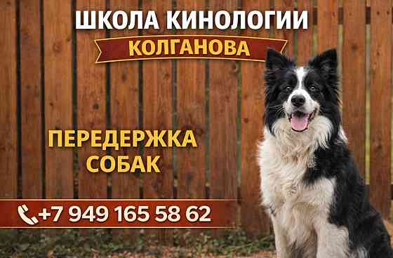 Передержка Донецк