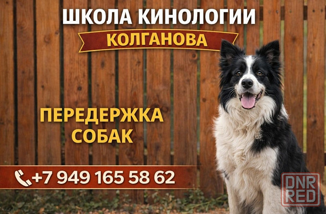 Передержка Донецк - изображение 1