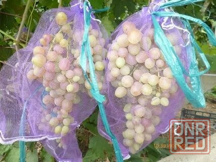 Мешочки для винограда Донецк - изображение 1
