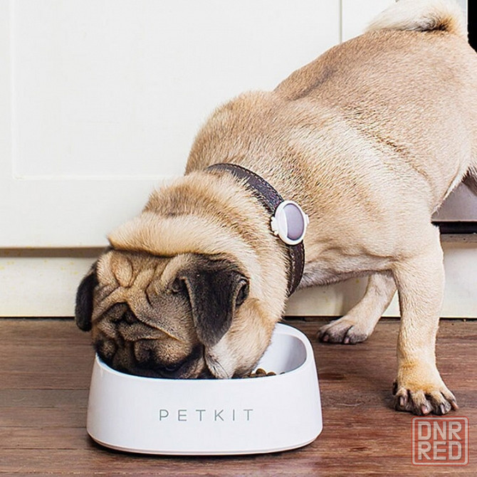 Миска-весы для животных с весами PETKIT Smart Weighing Bowl Макеевка - изображение 7