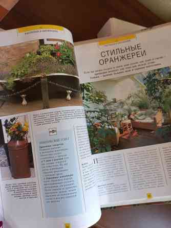Магия растений Комнатные растения Композиции Донецк