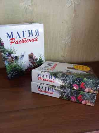 Магия растений Комнатные растения Композиции Донецк