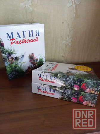 Магия растений Комнатные растения Композиции Донецк - изображение 1
