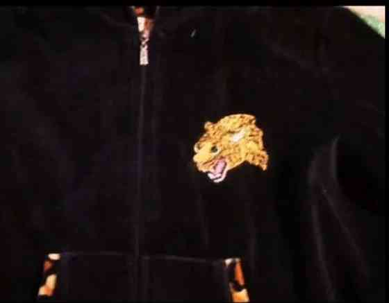 Спортивный костюм велюровый Донецк