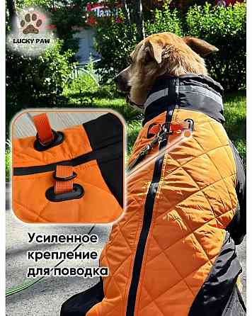 куртку для собаки Донецк