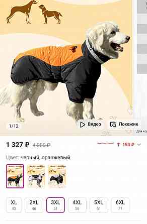 куртку для собаки Донецк