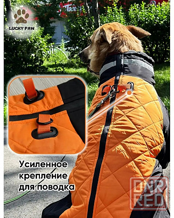 куртку для собаки Донецк - изображение 3