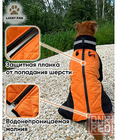 куртку для собаки Донецк - изображение 4