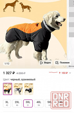 куртку для собаки Донецк - изображение 5