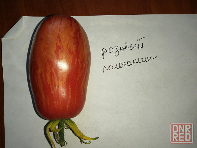Продам свои излишки семян томатов,перца сладкого и острого Макеевка - изображение 1