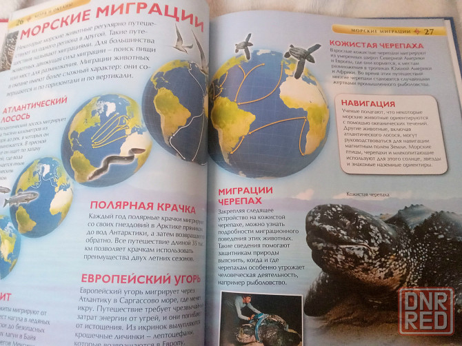 Детская энциклопедия моря и океаны, новая Донецк - изображение 2