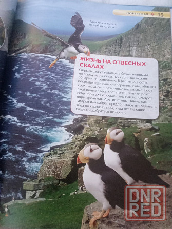 Детская энциклопедия моря и океаны, новая Донецк - изображение 3