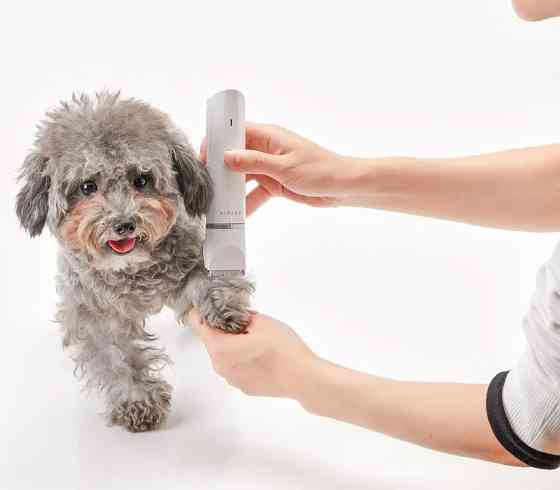 Машинка для стрижки животных Xiaomi Petkit Trimmer 2 in 1 Донецк