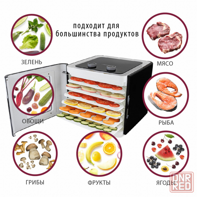 Сушилка для овощей и фруктов Pioneer FD905D Донецк - изображение 1