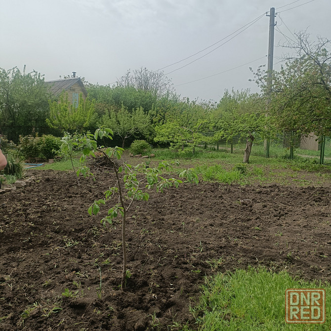 Расчистка огородов палисадников, от травы,пилка деревьев,покос травы, копка огородов Донецк - изображение 1