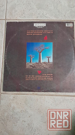 2 LP Pink Floyd ‎– Delicate Sound Of Thunder 1990 USSR Мелодия ех+\ех+ Донецк - изображение 2