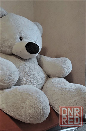 Продам медведя! Донецк - изображение 2