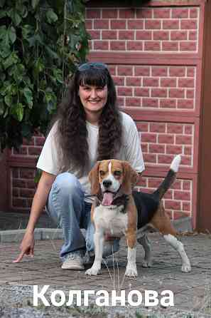 Дрессировка миниатюрных пород Донецк