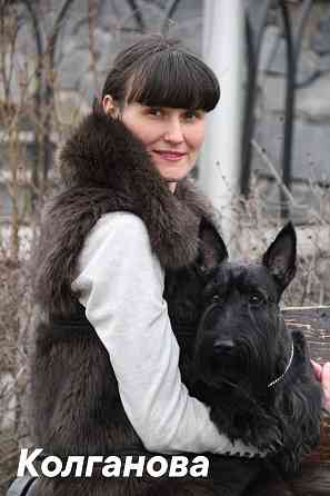 Дрессировка миниатюрных пород Донецк