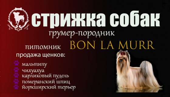 Стрижка Собак Торез