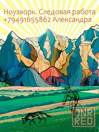 Ноузворк Донецк - изображение 1